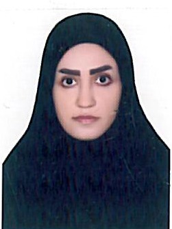 مینا ذوالفقاری